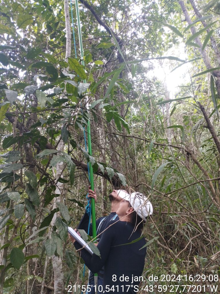 Pedras Altas - EIA/RIMA Pedras Altas Mineração 3