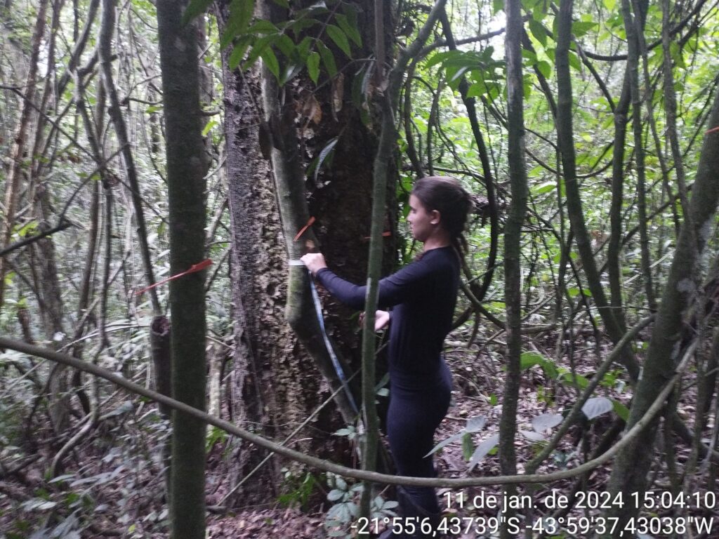 Pedras Altas - EIA/RIMA Pedras Altas Mineração 5