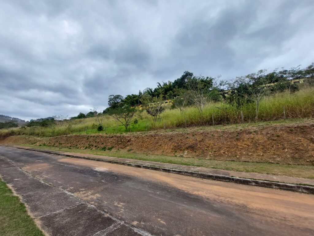 Essencis - Reflorestamento compensatório da Essencis 8