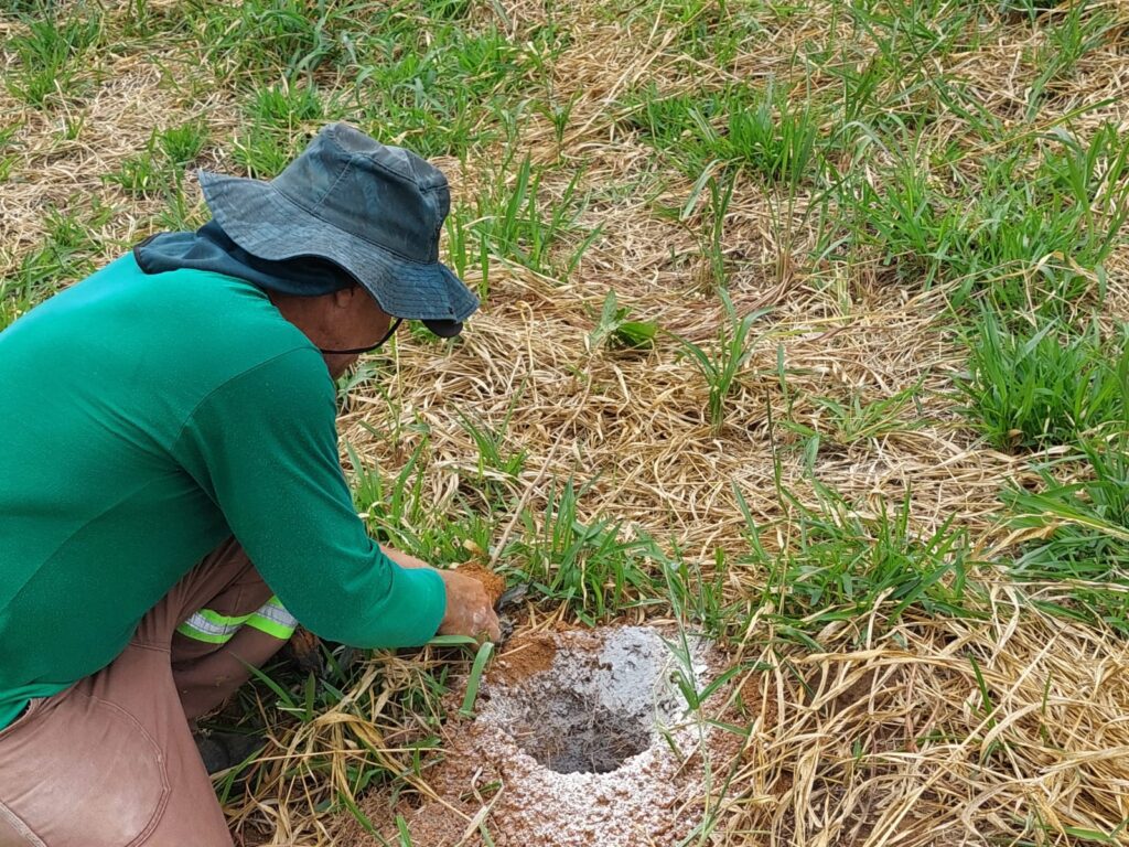 Essencis - Reflorestamento compensatório da Essencis 5