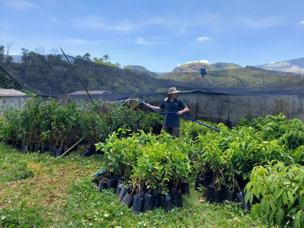 Essencis - Reflorestamento compensatório da Essencis 3