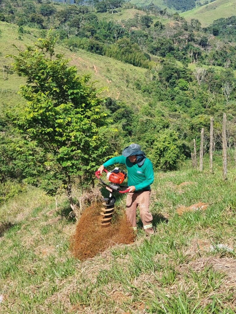 Urbaville - Reflorestamento compensatório da Urbaville Urbanismo 2