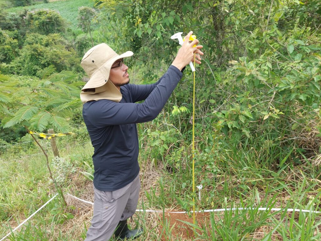 Urbaville - Reflorestamento compensatório da Urbaville Urbanismo 4