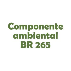 BR 265 - Componente ambiental para licenciamento da construção de 10KM da BR 265 ligando Passos a Alpinópolis