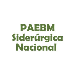 PAEBM - Plano de ação de emergência para barragens de mineração PAEBM