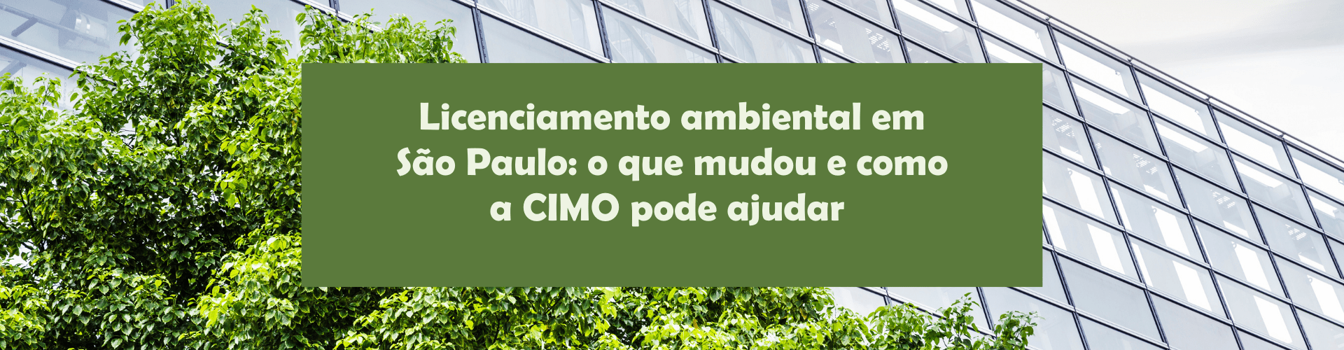 Entenda as principais atualizações no Licenciamento Ambiental em São Paulo, os pontos de atenção para Conformidade Ambiental e como a CIMO Engenharia Ambiental e Saneamento, agora com sede em São Paulo, pode apoiar sua empresa em todas as etapas do processo.
