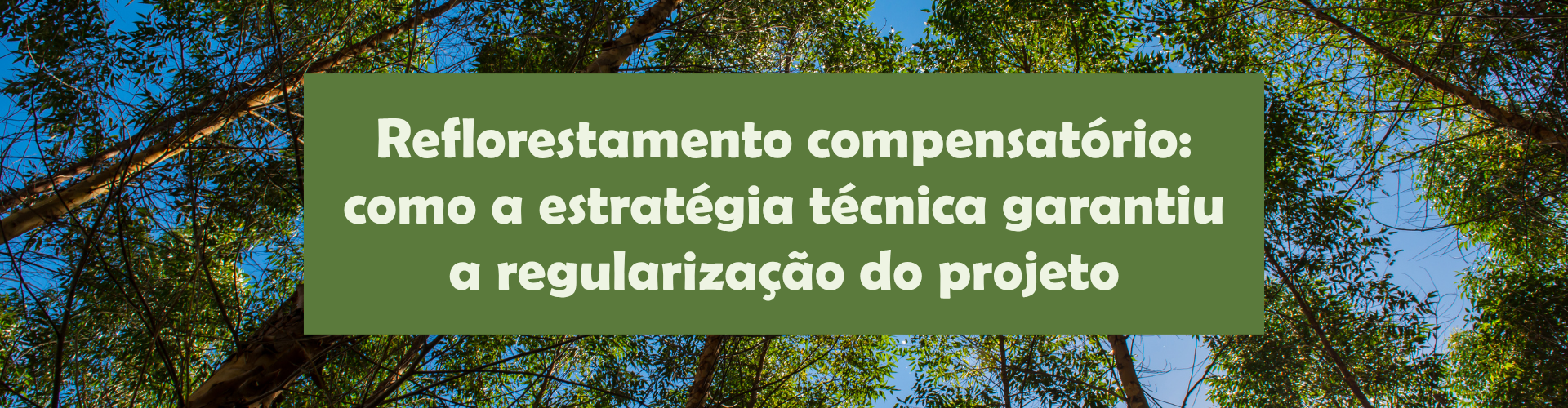 Entenda como a Cimo executou um projeto de reflorestamento compensatório da Pedras Altas, com plantio, manutenção e monitoramento técnico.