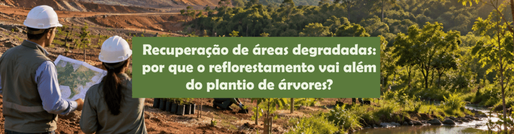Entenda como a recuperação de áreas degradadas envolve diagnóstico, escolha de espécies, monitoramento e planejamento ambiental.