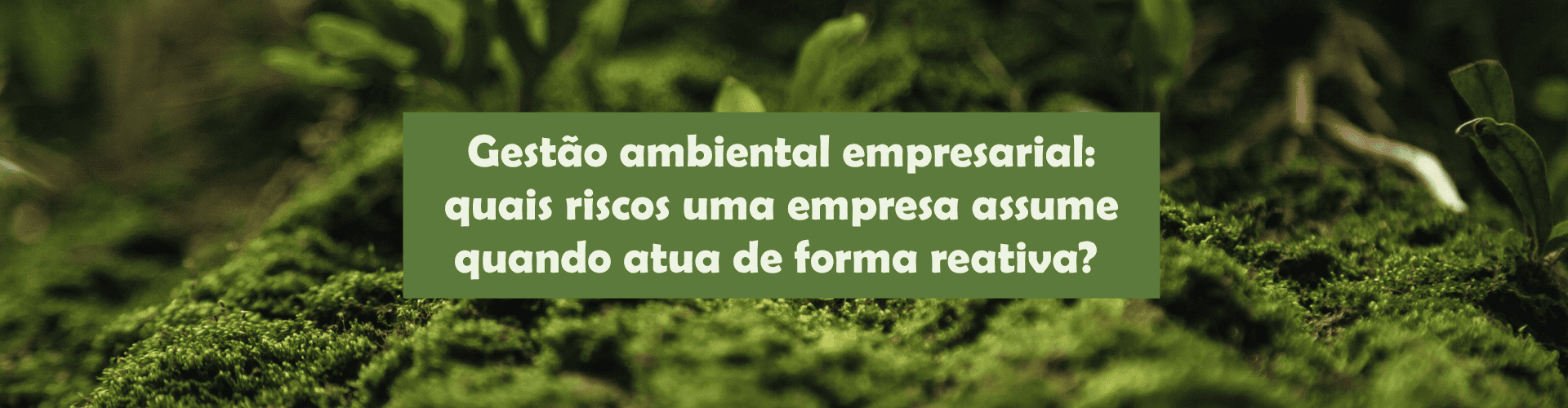 Entenda os riscos da gestão ambiental reativa e como uma atuação preventiva reduz custos, retrabalho, autuações e impactos na operação.